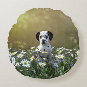 Cute Dalmatian Puppy in Daisies Round Pillow