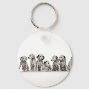 cute dalmation puppies pupy pup pups dog dogs keychain