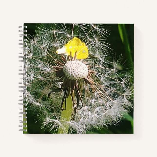 Cute dandelion notebook (Front)
