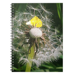 Cute dandelion notebook