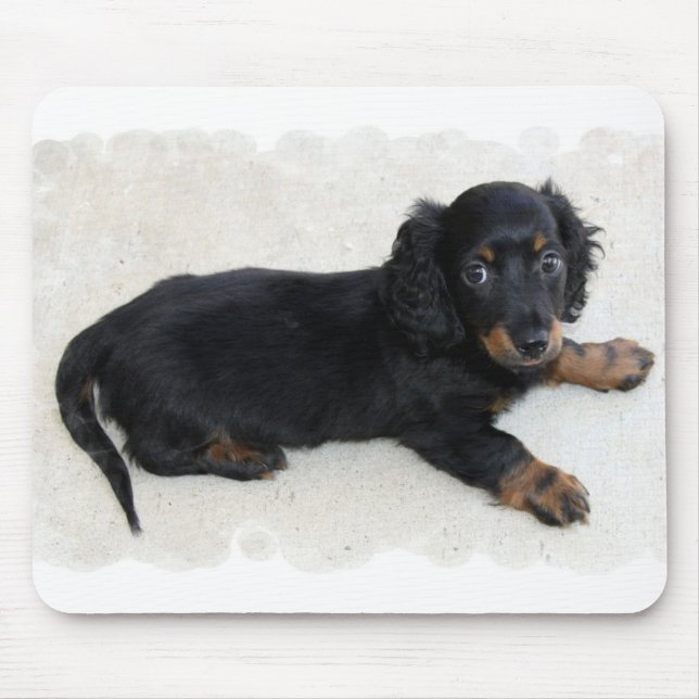Cute Daschund Mouse Pad (Front)