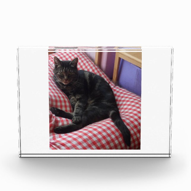 Cute Dave Acrylic Photo Block (Front)