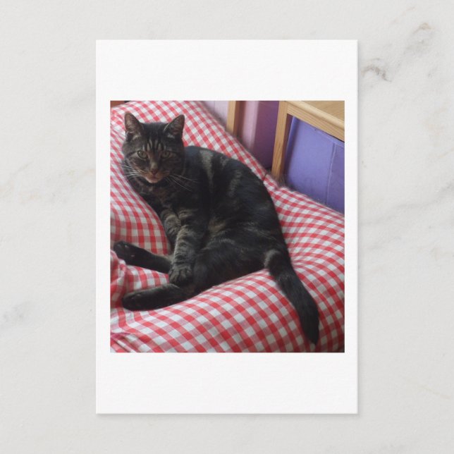 Cute Dave Enclosure Card (Front)