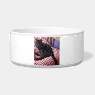 Cute Dave Large Pet Bowl