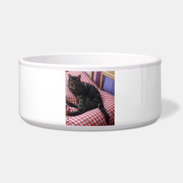 Cute Dave Large Pet Bowl (Front)