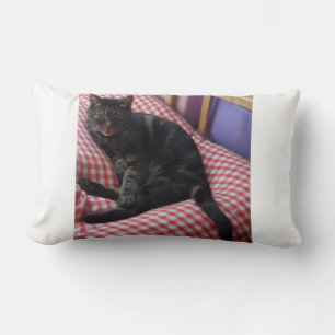 Cute Dave Lumbar Pillow