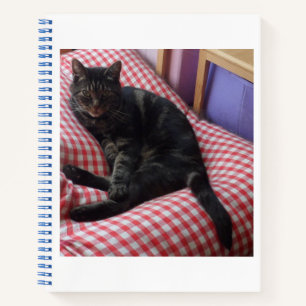 Cute Dave Notebook