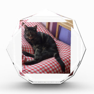 Cute Dave Octagonal Photo Block