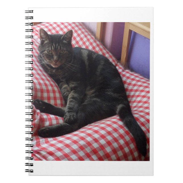 Cute Dave Spiral Notebook (Front)