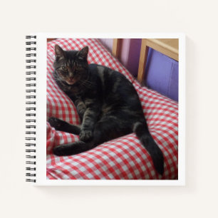 Cute Dave Spiral Notebook