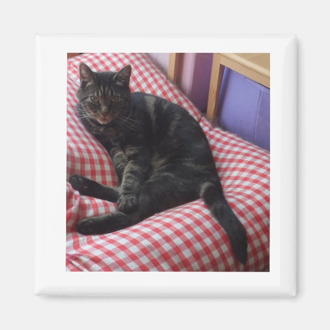 Cute Dave Square Magnet (Front)