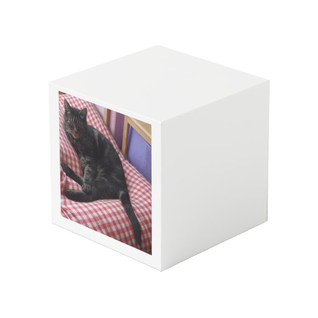 Cute Dave Square Photo Cube (Front Angled)