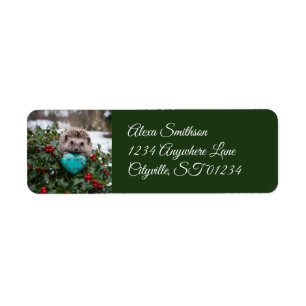 Cute December Hedgehog with Turquoise Heart