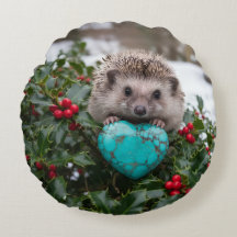 Cute December Hedgehog with Turquoise Heart