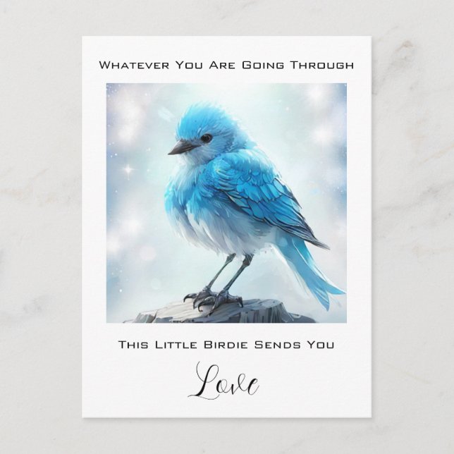 *~* Cute Detailed Blue Bird AP54 Care Concern Postcard (Front)
