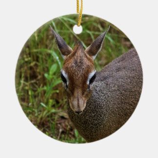 Cute Dik-Dik Ceramic Ornament