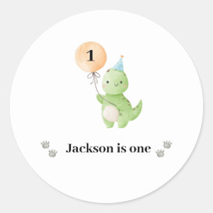 Cute Dinosaur Birthday Classic Round Sticker