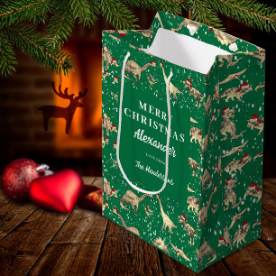 Cute Dinosaurs in the Snow Christmas Personalized Medium Gift Bag