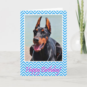 Cute Doberman Pinscher dog Happy Birthday Card