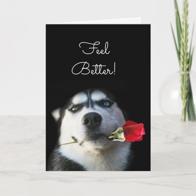 Cute Dog and Flower Feel Better Get Well Card (Front)