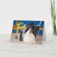 Cute Dog Birthday Card, Papillon
