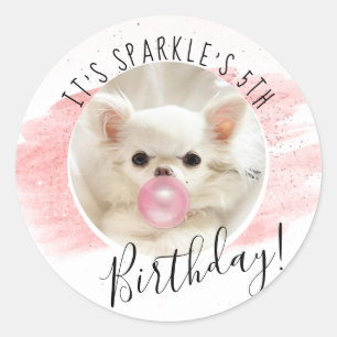 Cute Dog Birthday Party Sparkle The Tiny Chi Classic Round Sticker