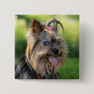 Cute Dog button 7