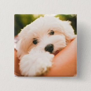 Cute Dog button 9
