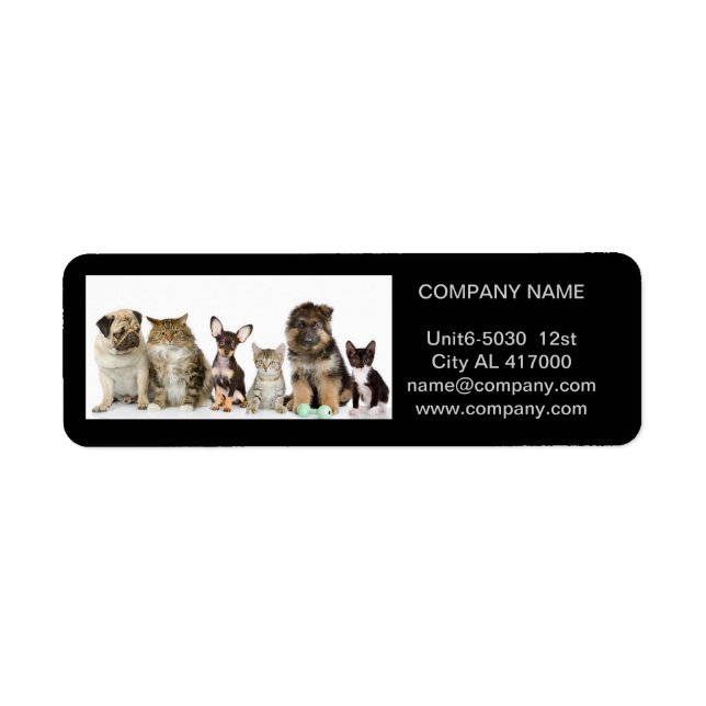 Cute dog cat pet sitter animal sitter pet groomer (Front)