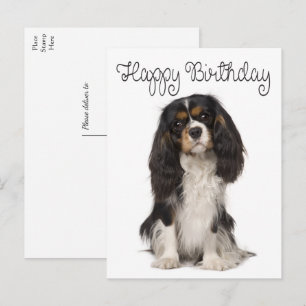 Cute Dog Cavalier King Charles Spaniel Birthday Postcard