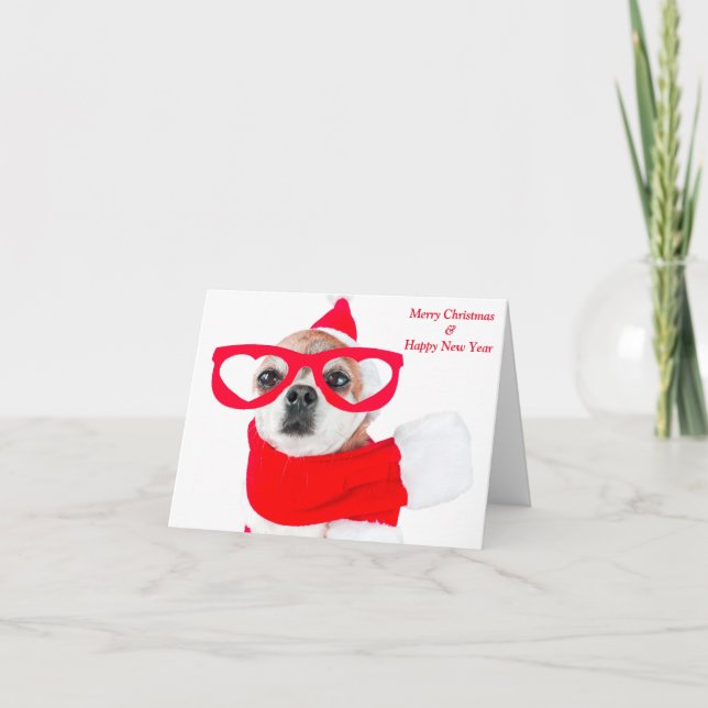 Cute Dog Chihuahua In Santa Claus Card (Front)
