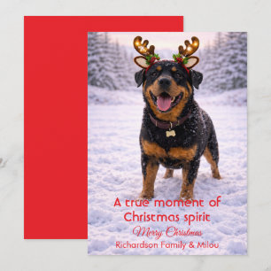Cute Dog Christmas Sweet Quote   Holiday Card