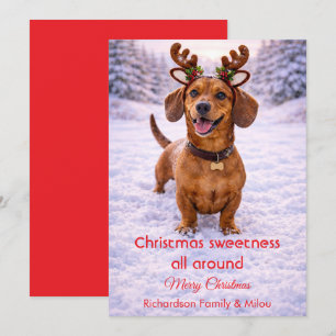 Cute Dog Christmas Sweet Quote Holiday Card