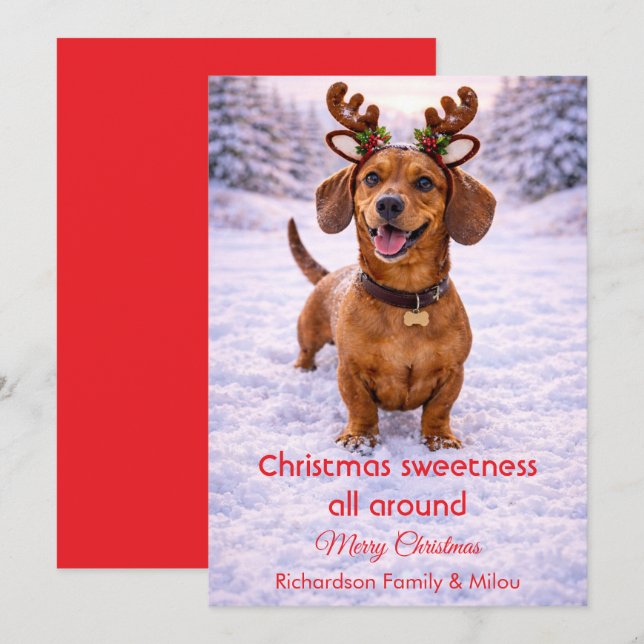 Cute Dog Christmas Sweet Quote | Holiday Card (Front/Back)