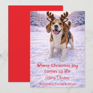 Cute Dog Christmas Sweet Quote Holiday Card