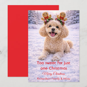 Cute Dog Christmas Sweet Quote   Holiday Card