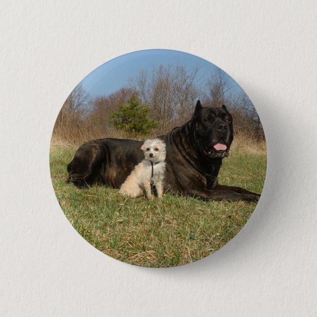 Cute Dog Couple 2 Inch Round Button (Front)