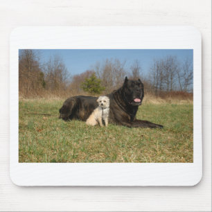 Cute Dog Couple Mouse Pad
