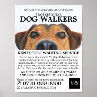Cute Dog, Dog Walker Service Advertising