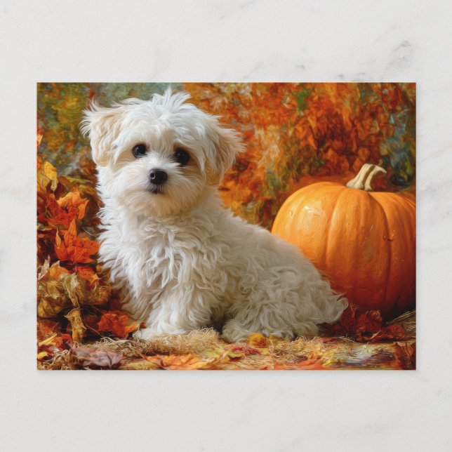 Cute Dog Fall Autumn Pumpkin Fall Leaves Design Postcard (Front)