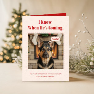 Cute Dog Funny Pet Family Photo Christmas Folded Holiday Card