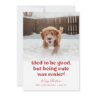  Cute Dog Funny Pet Photo Christmas
