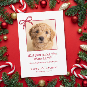 Cute Dog Funny Photo Christmas Holiday Card