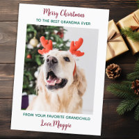 Cute Dog Grandma Personalized Christmas Pet Photo