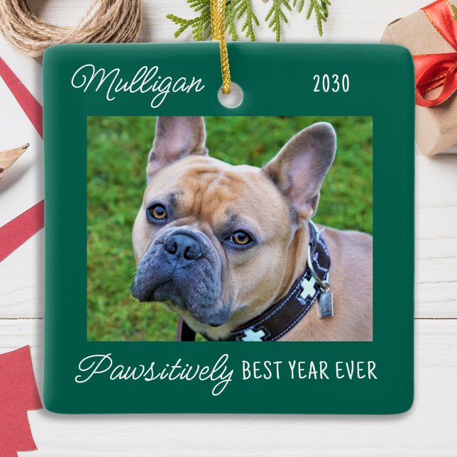 Cute Dog Green Quarantine Christmas Pet Photo Ceramic Ornament (Creator Uploaded)