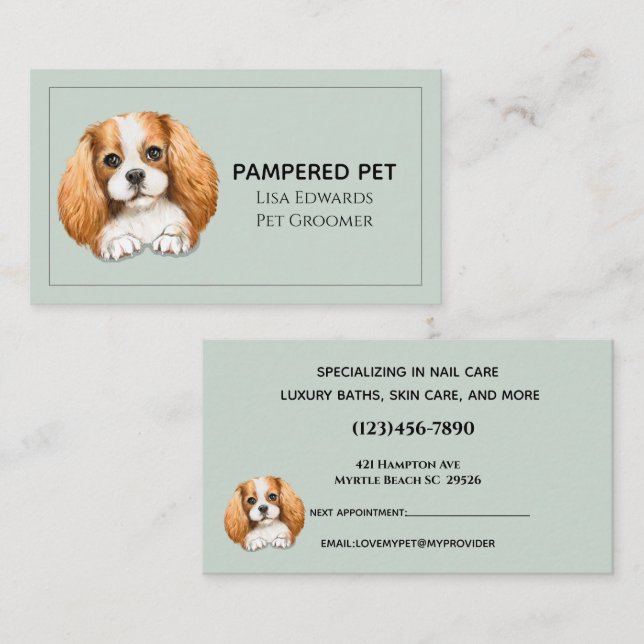 Cute Dog Groomer Green Business  Appointment Card (Front/Back)