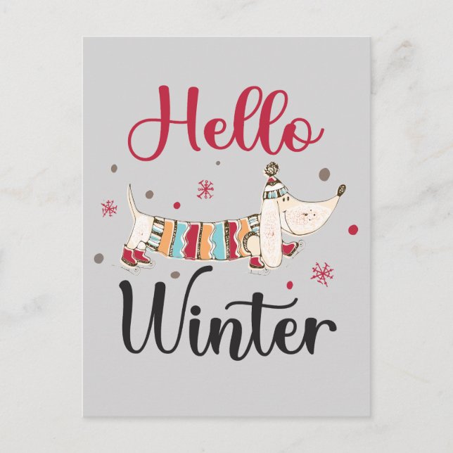 Cute Dog Hello Winter  Postcard (Front)
