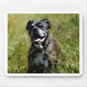 Cute dog in grass mouse pad