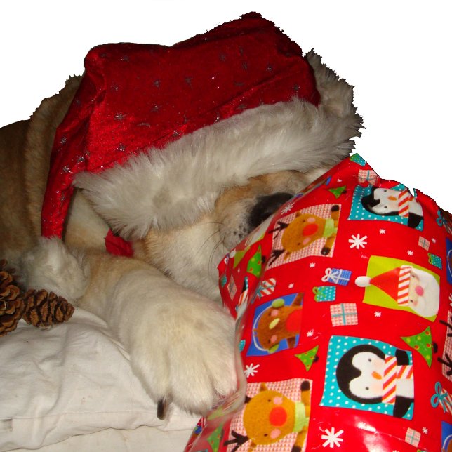 Cute dog in red santa hat at christmas jigsaw puzzle (Creator Uploaded)