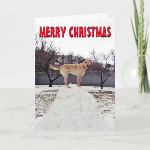 Cute dog in the snow Christmas Card
